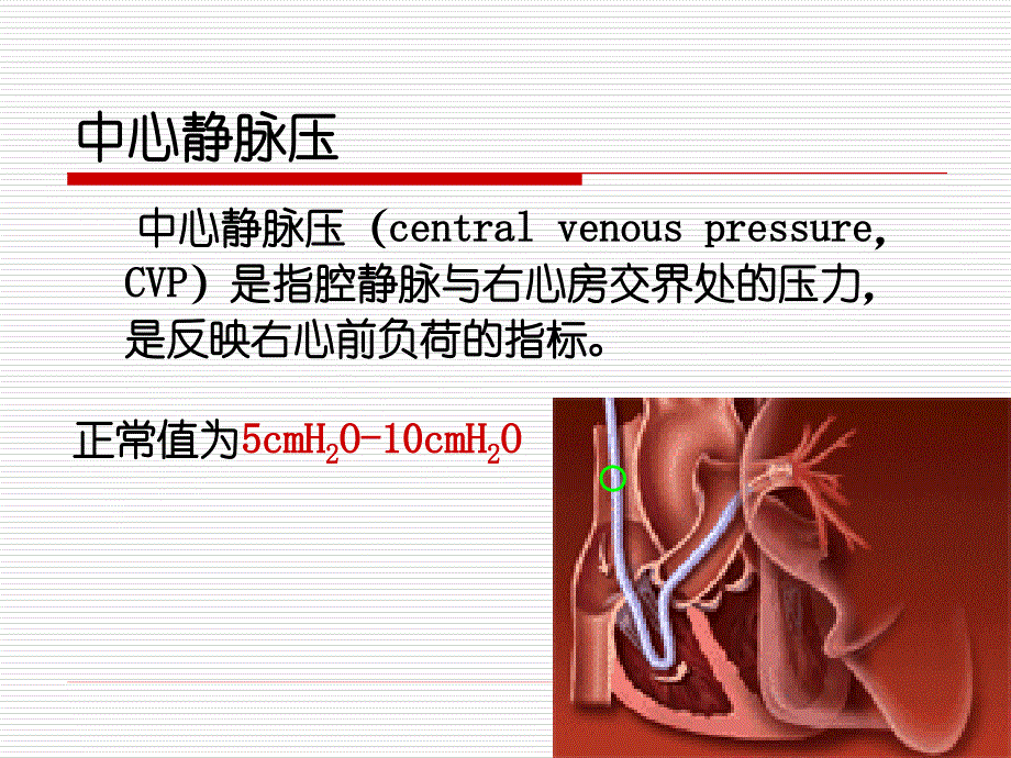 中心静脉压监测课件.ppt_第3页