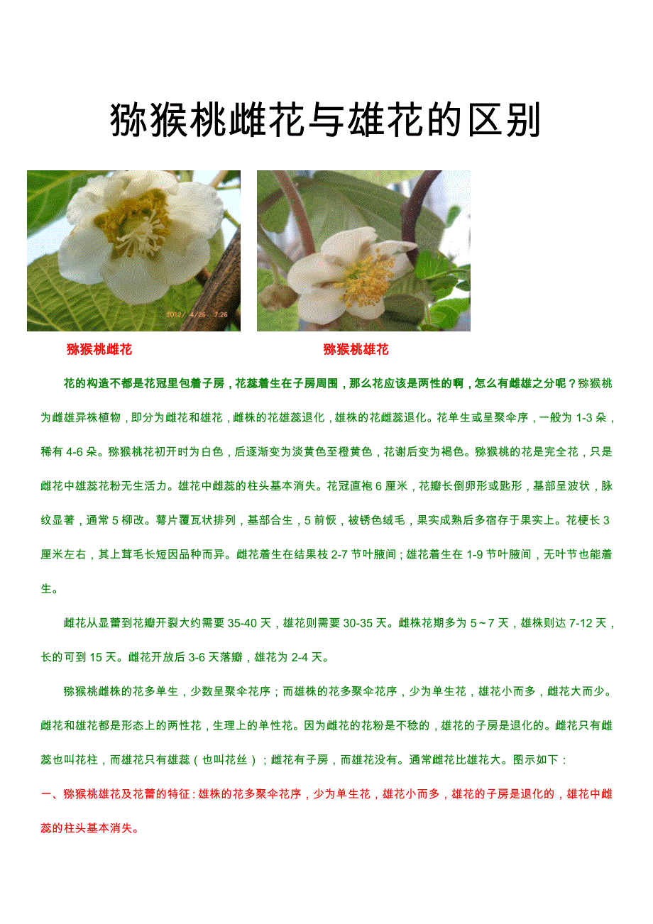 猕猴桃雌花与雄花的区别.doc_第1页