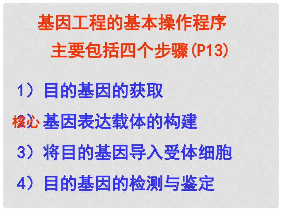 江苏省宿迁市马陵中学高考生物专题复习 基因工程的基本操作程序课件_第2页