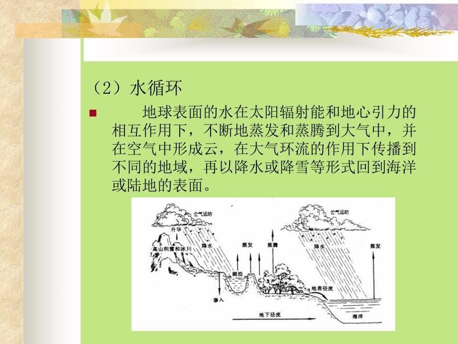 08第八讲环境污染与控制水污染与固体废弃物_第5页