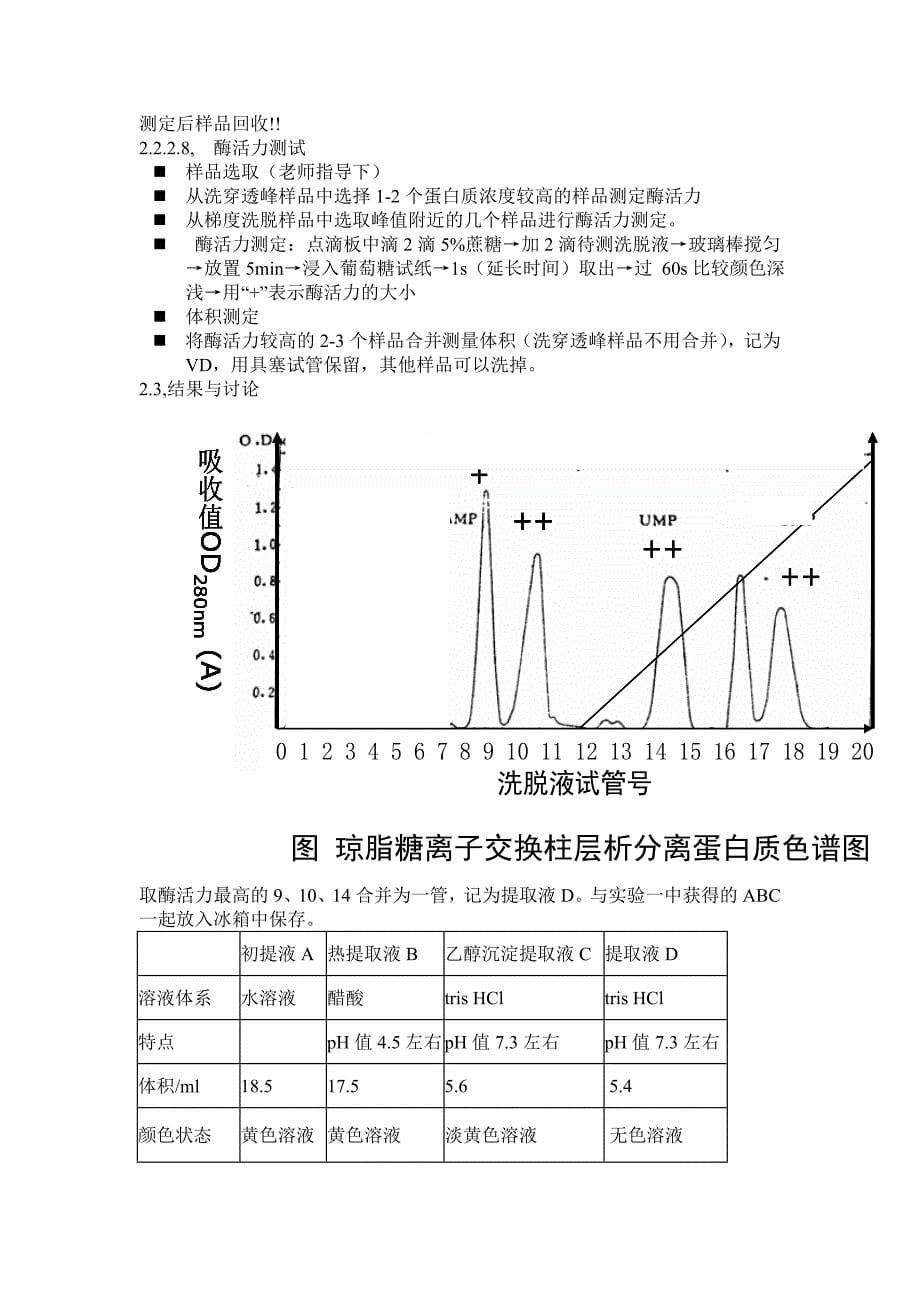 蔗糖酶的提取及活力_第5页