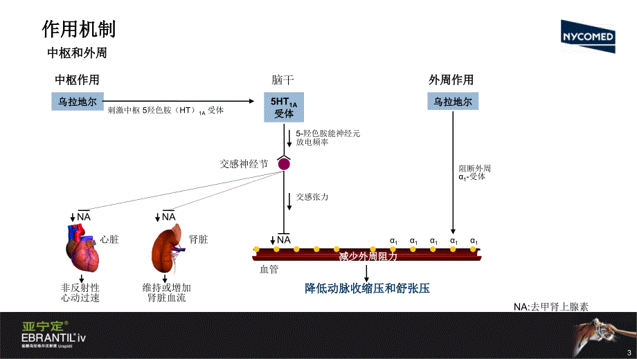 亚宁定【稻谷书苑】_第3页