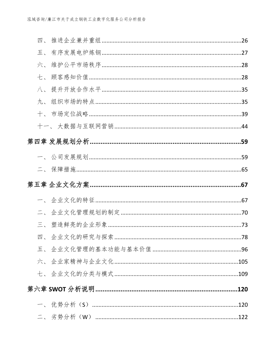 廉江市关于成立钢铁工业数字化服务公司分析报告_第2页