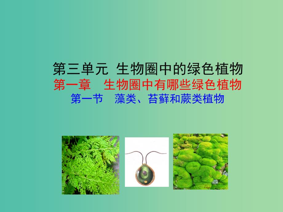 七年级生物上册 3.1.1 藻类、苔藓和蕨类植物教学课件 新人教版.ppt_第1页