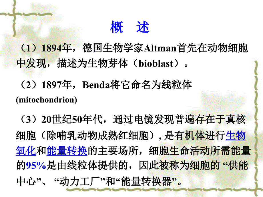 细胞生物学第六章线粒体_第3页