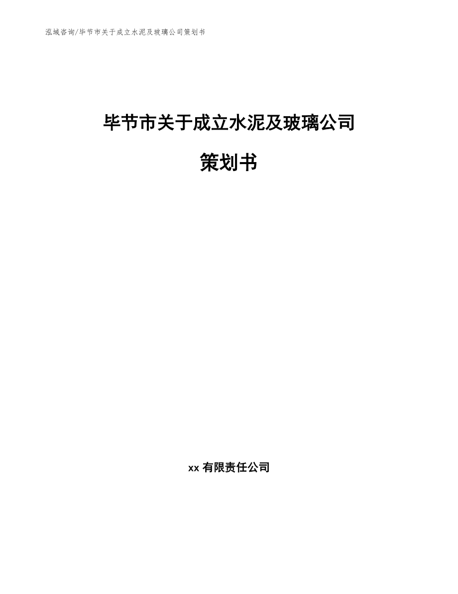 毕节市关于成立水泥及玻璃公司策划书范文_第1页