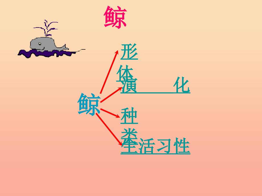 四年级语文下册 第7单元 26《鲸》课件6 语文S版_第2页