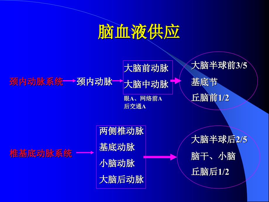 神经系统核医学PPT课件_第4页