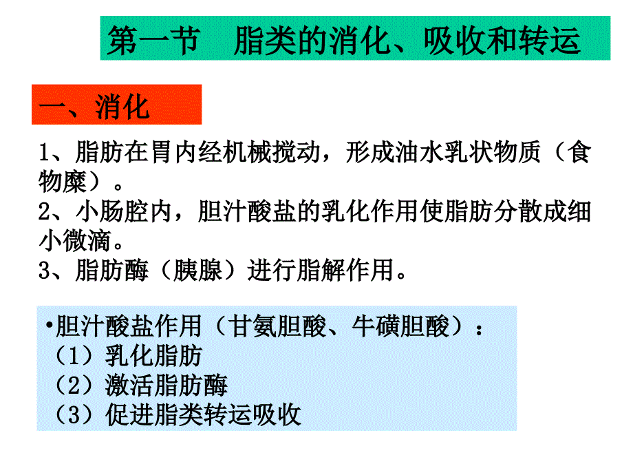 脂类代谢第十章生物化学_第4页