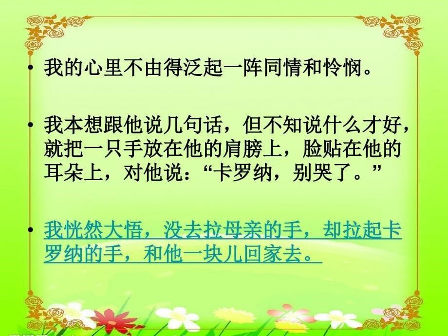 卡罗纳 (2)_第5页