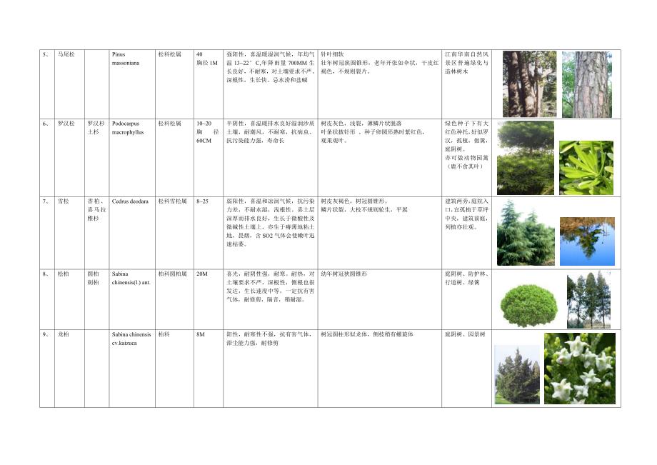 南京地区种植绿化设计一览.doc_第2页