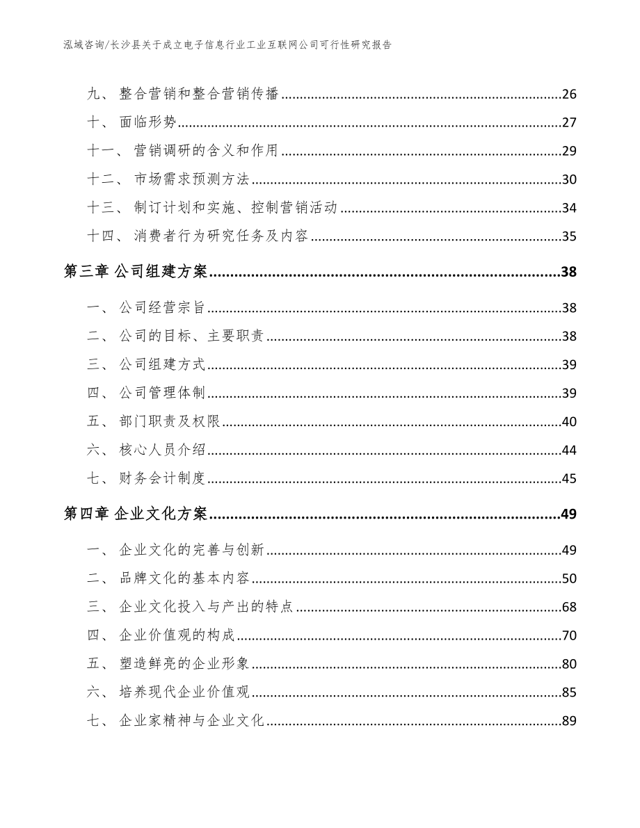 长沙县关于成立电子信息行业工业互联网公司可行性研究报告（模板范文）_第3页