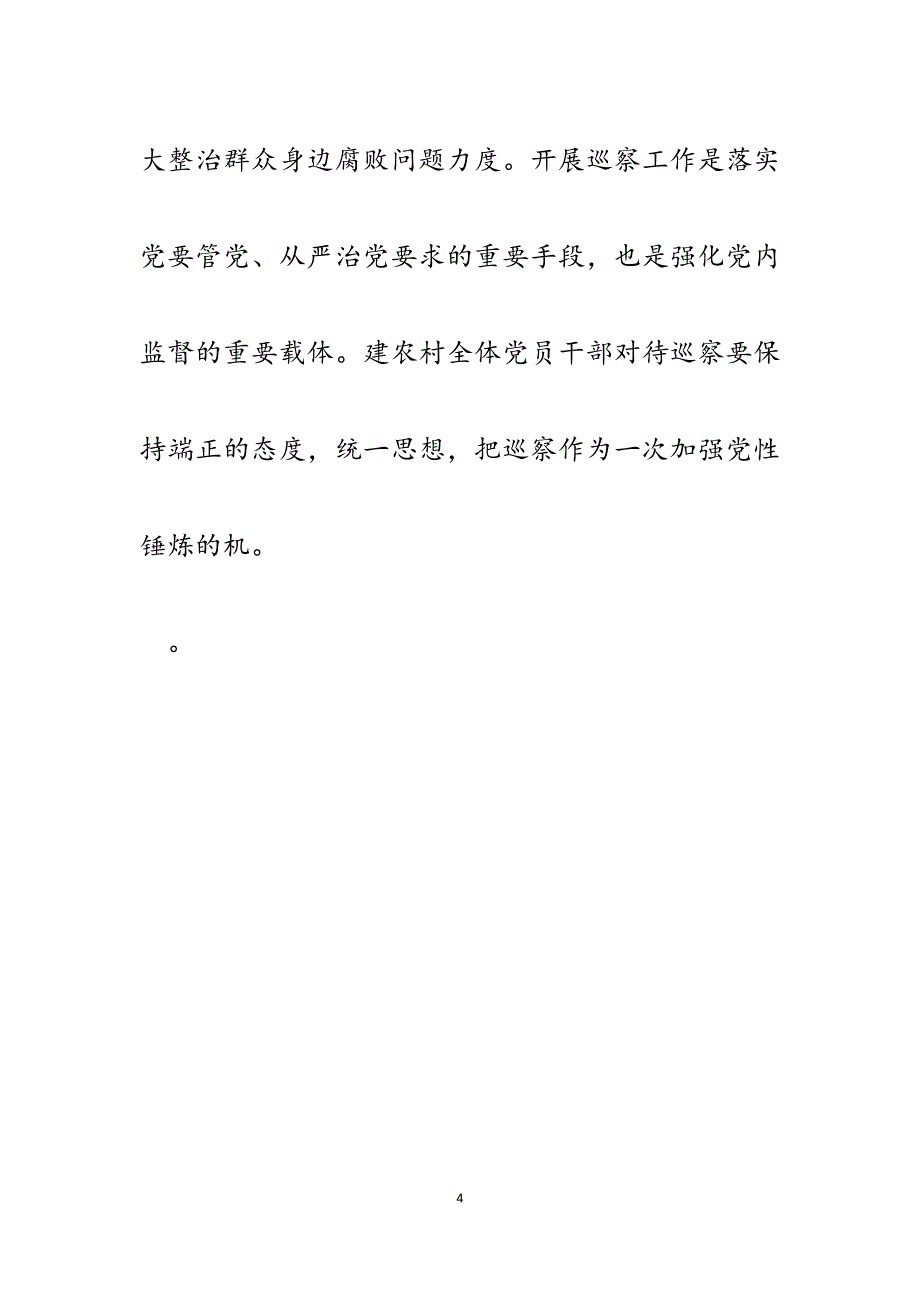 2023年市委村（社区）专项巡察组巡察村工作动员会表态发言.docx_第4页