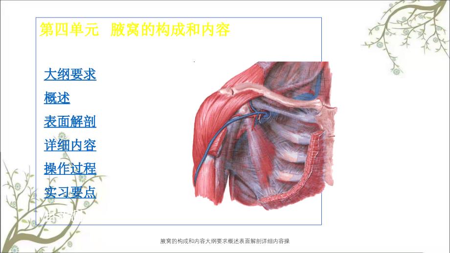 腋窝的构成和内容大纲要求概述表面解剖详细内容操_第1页