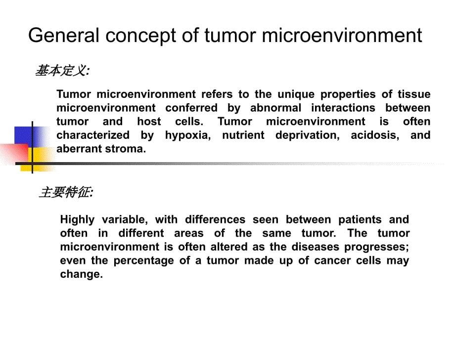 肿瘤分子生物学9. 肿瘤微的环境张志刚文档资料_第5页