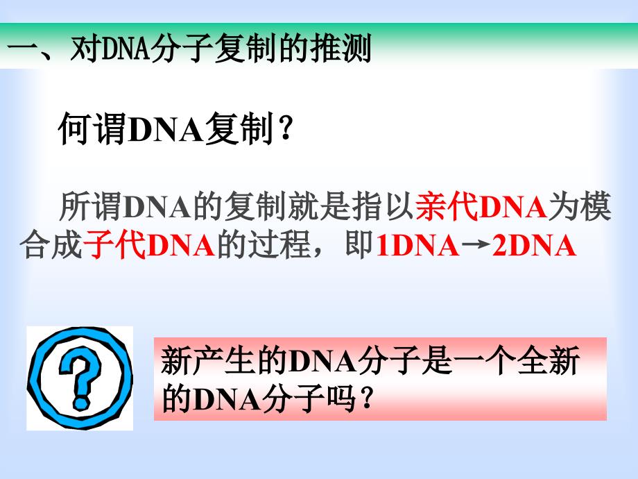 33_DNA的复制_第2页