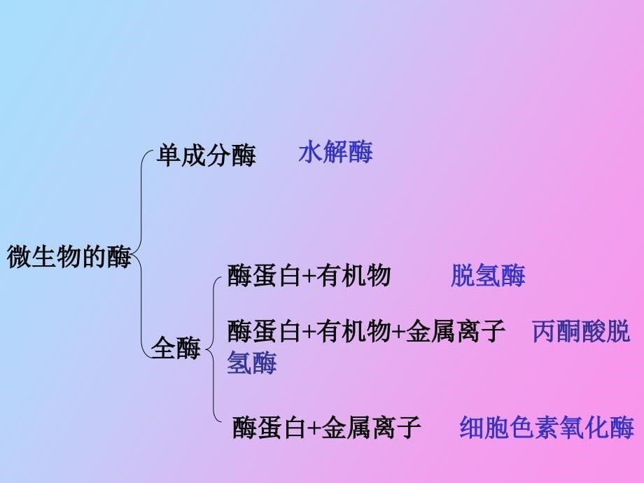 环境工程微生物学_第5页