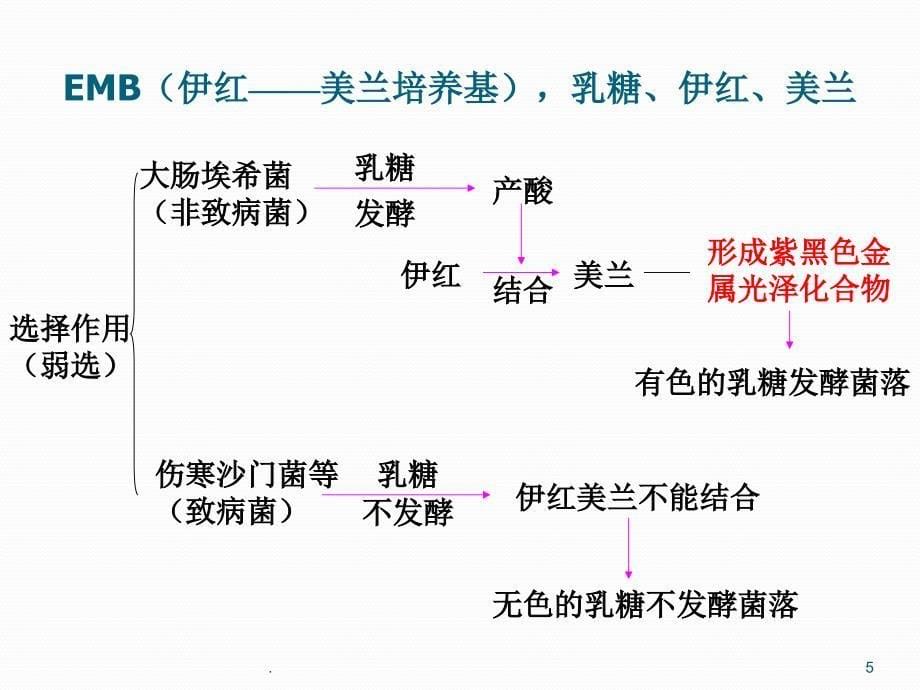 病原肠道杆菌ppt演示课件_第5页