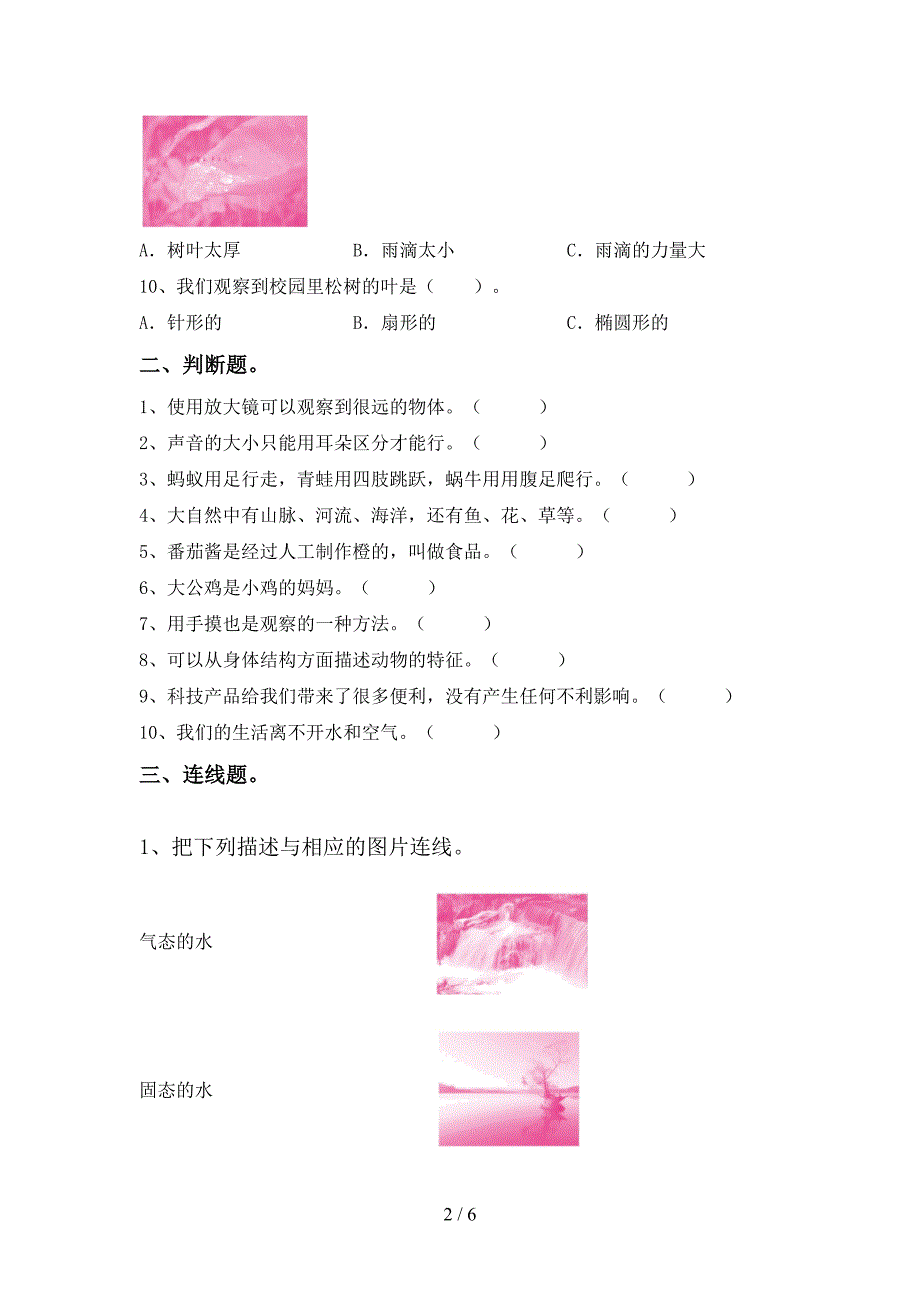 一年级科学上册期中测试卷【带答案】.doc_第2页