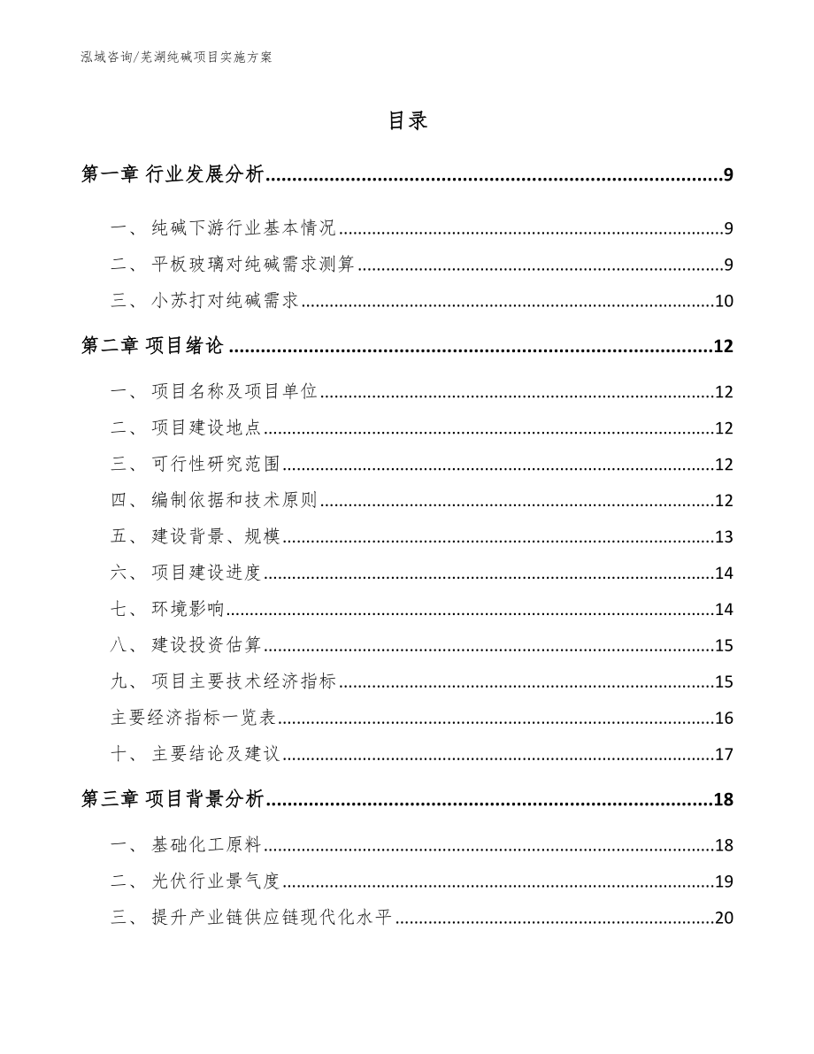 芜湖纯碱项目实施方案_模板范文_第2页