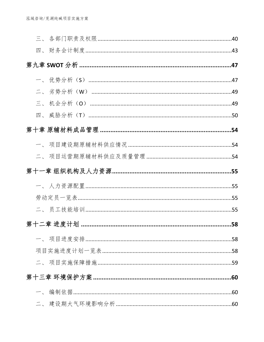 芜湖纯碱项目实施方案_模板范文_第4页