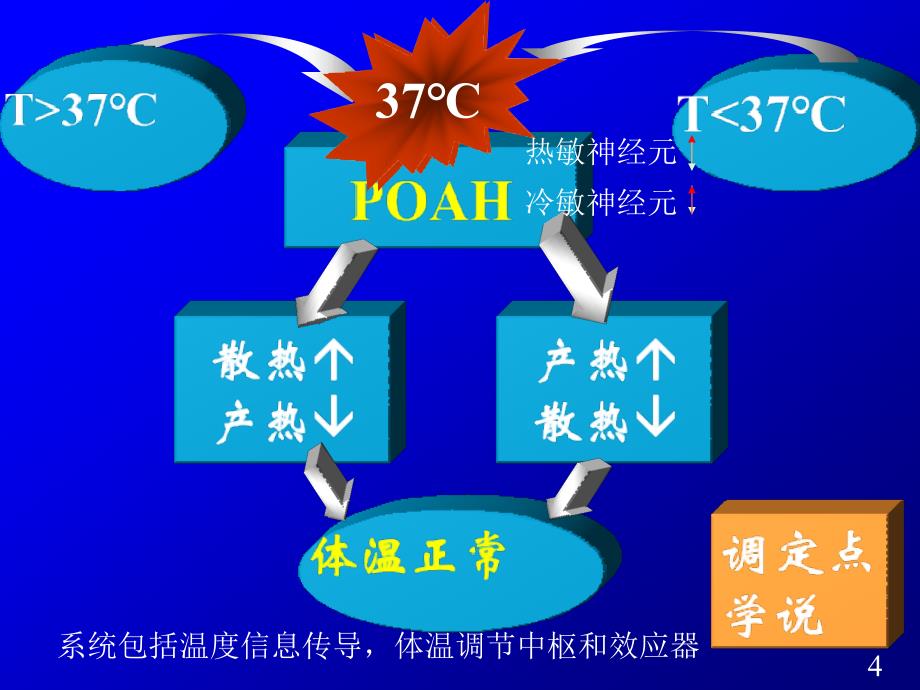 病理生理学教学课件：发热_第4页