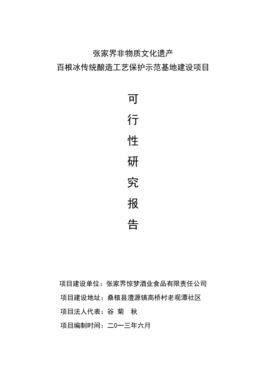 可行性研究报告(0001)(DOC 14页)_第2页