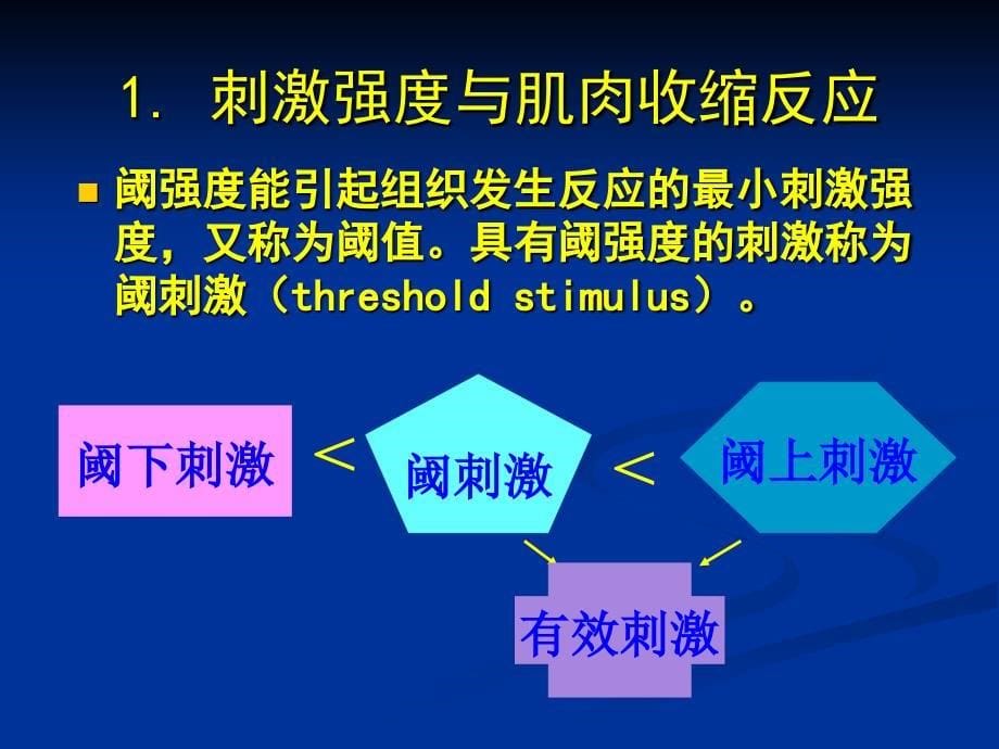 刺激强度刺激频率与骨骼肌收缩的关系_第5页