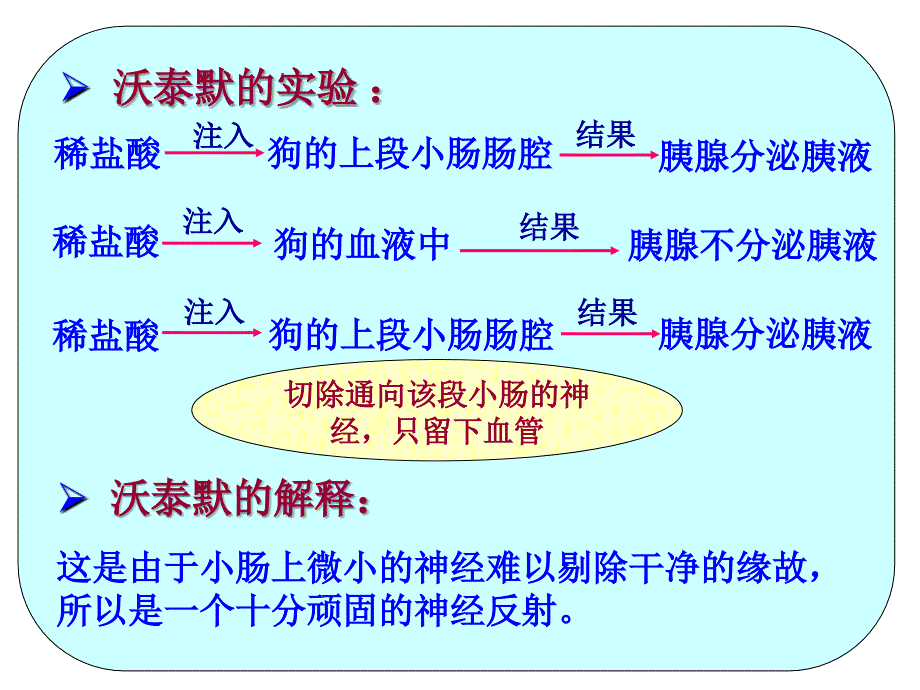 2.2通过激素的调节课件[精选文档]_第4页