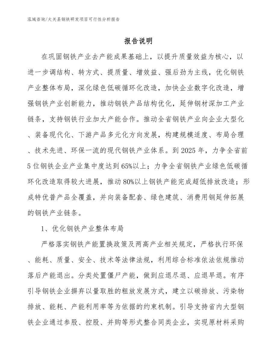 大关县钢铁研发项目可行性分析报告_模板_第1页