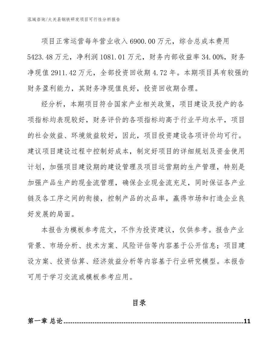 大关县钢铁研发项目可行性分析报告_模板_第5页