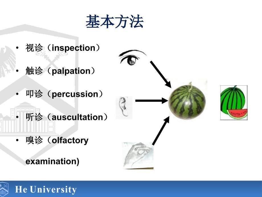 体格检查头颈胸背部_第5页