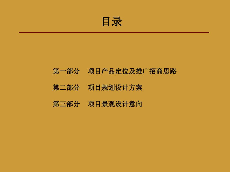 某古街项目整体策划汇报方案_第2页