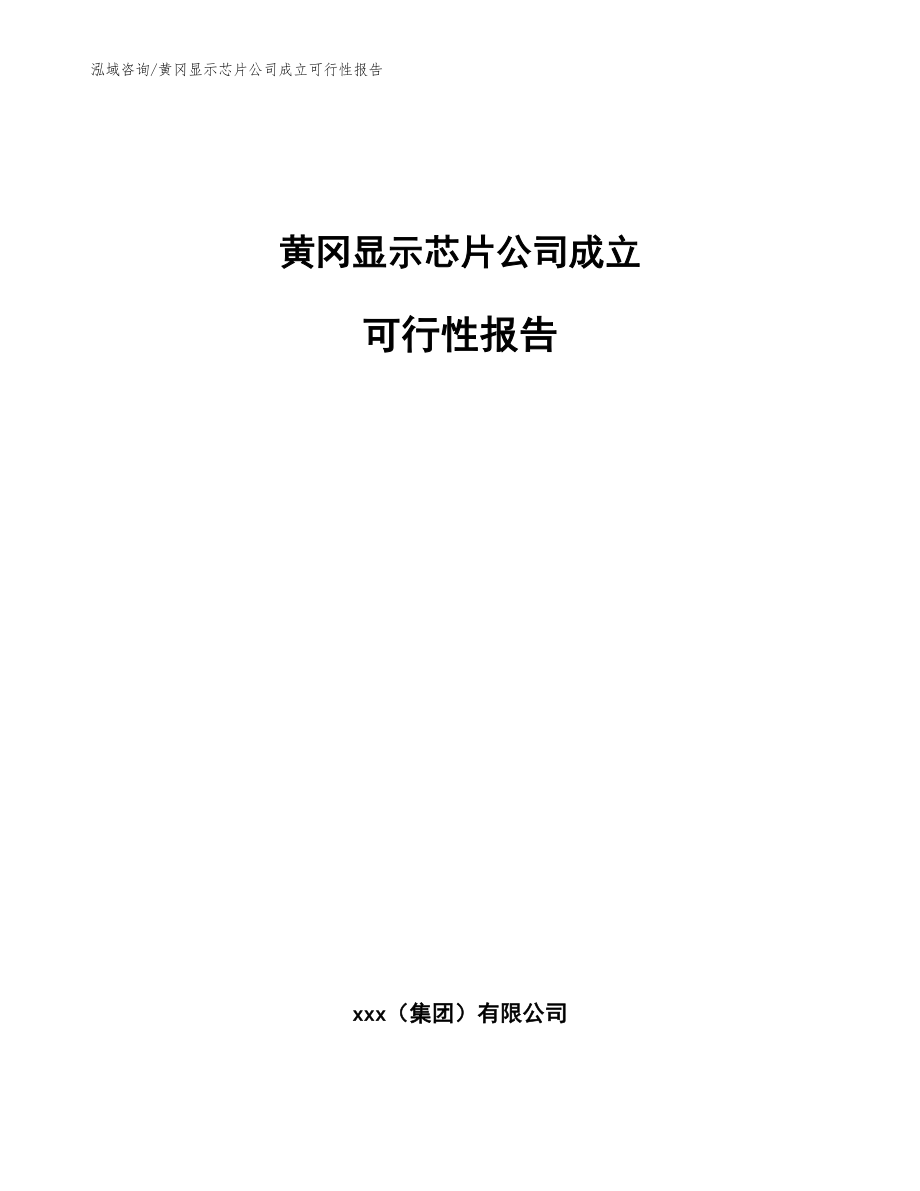 黄冈显示芯片公司成立可行性报告（模板）_第1页