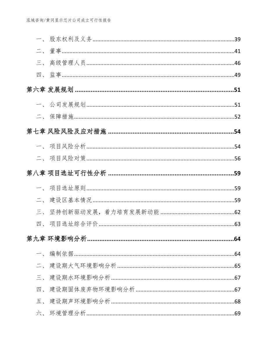 黄冈显示芯片公司成立可行性报告（模板）_第5页