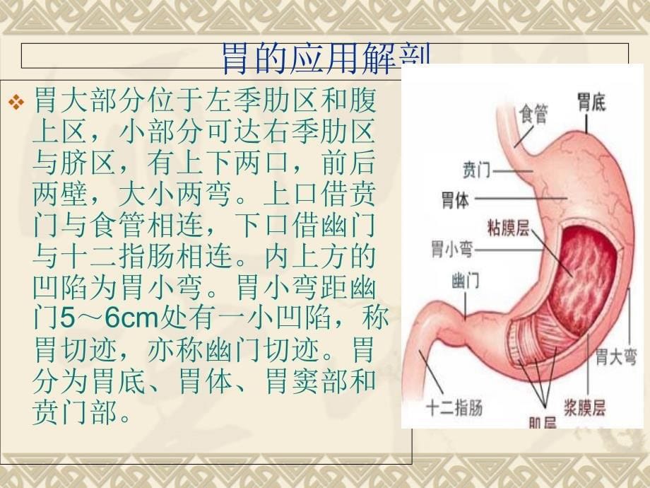 胃癌手术的护理配合_第5页