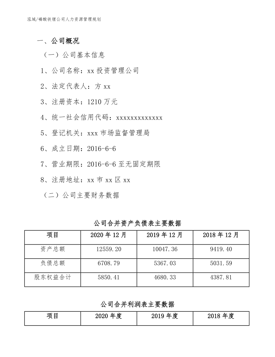 磷酸铁锂公司人力资源管理规划_第4页