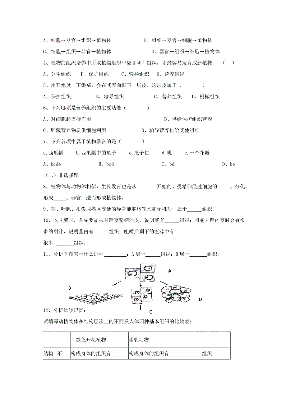 七年级生物上册 2.2.3《植物体的结构层次》导学案2 （新版）新人教版.doc_第3页