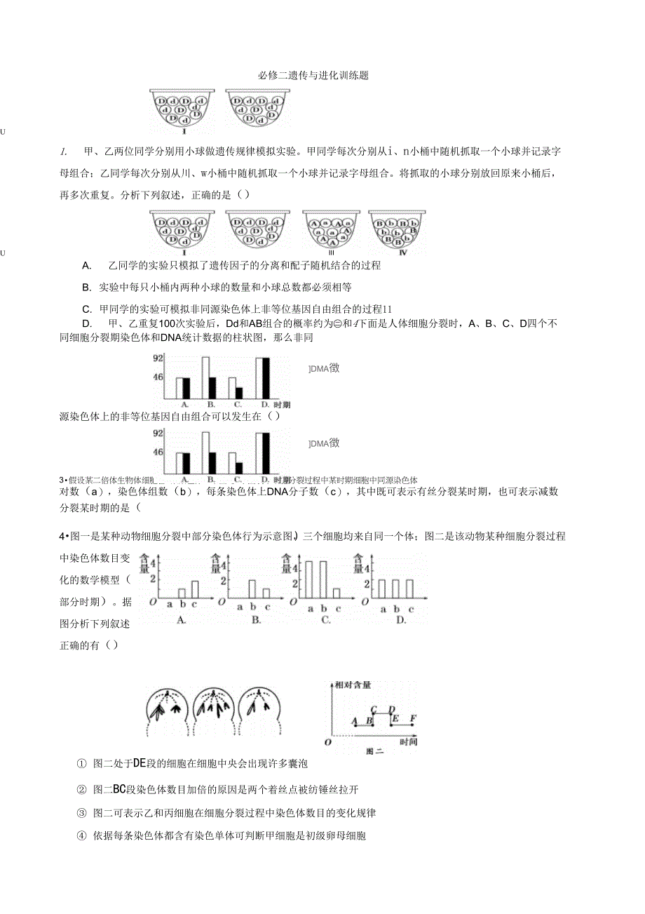 必修二遗传与进化训练题_第1页