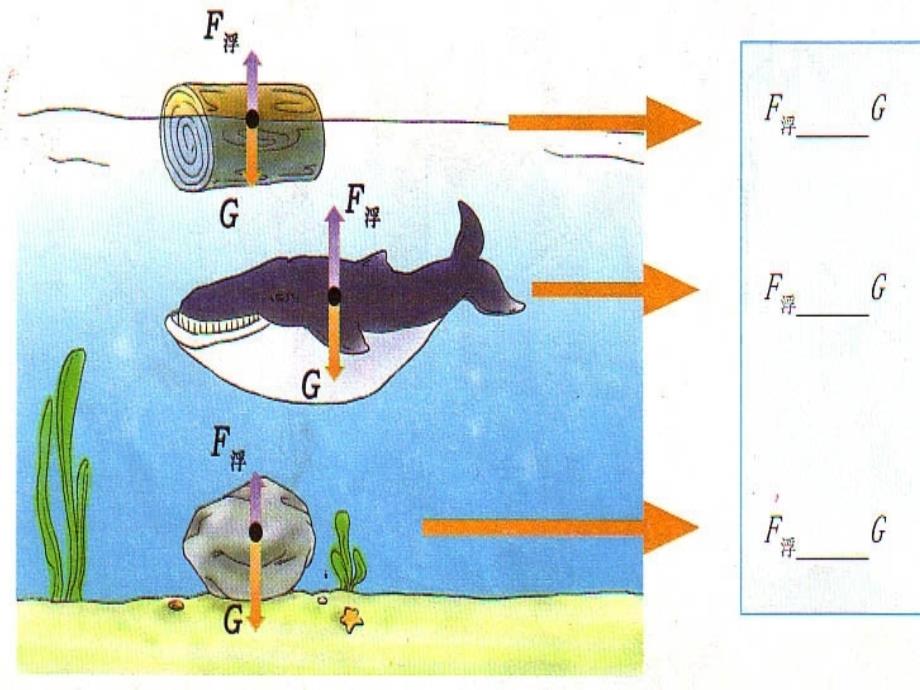 第3节-物体的浮沉条件及应用[1]分解_第4页