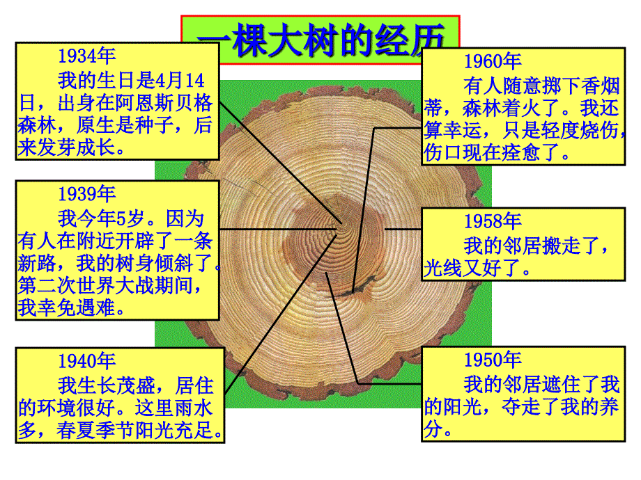 高等教师岗前培训教育法规讲稿_第3页