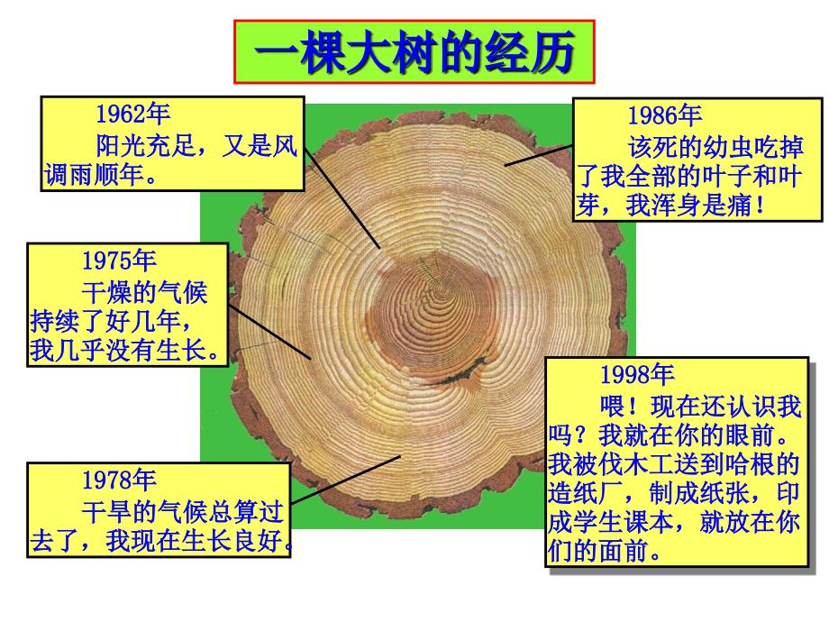 高等教师岗前培训教育法规讲稿_第4页