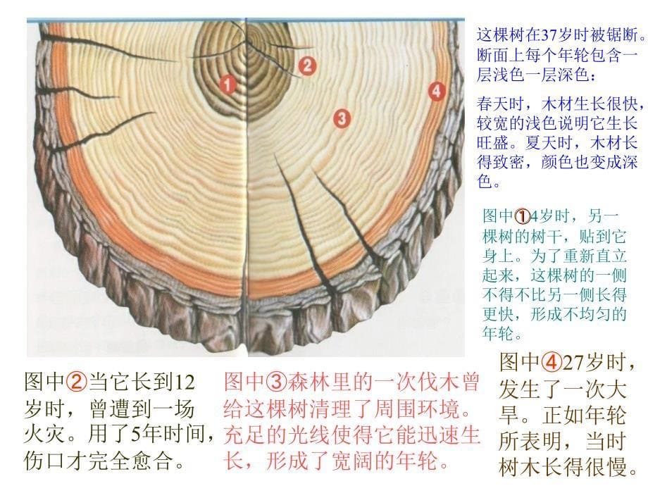 高等教师岗前培训教育法规讲稿_第5页