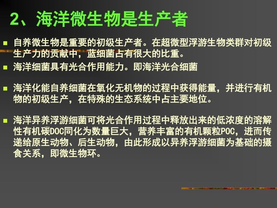 9海洋微生物在海洋生态系统中的作用_第5页