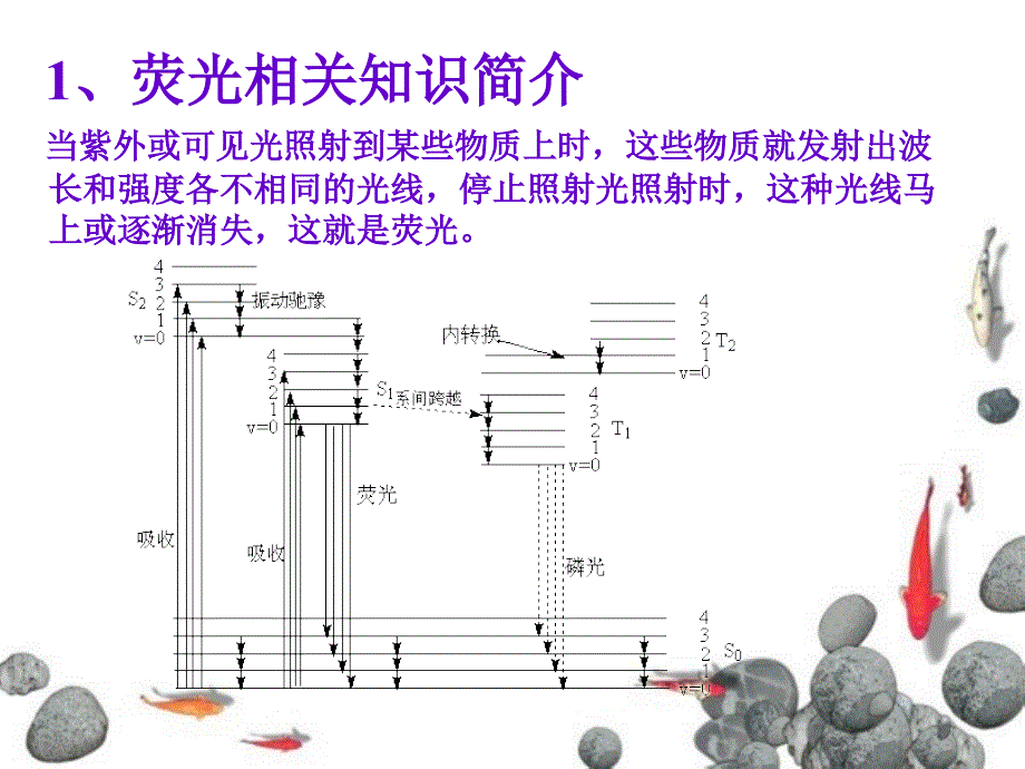 荧光探针综述课件_第3页