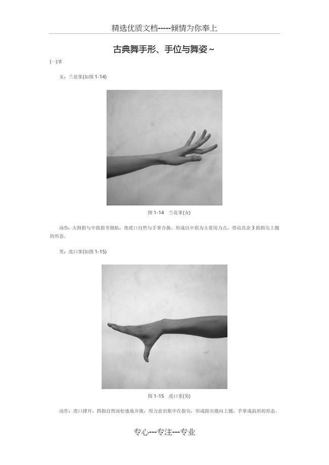古典舞手形、手位与舞姿(共9页)