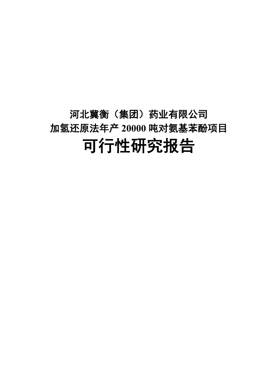 加氢还原法年产20000吨对氨基酚项目可行性研究报告_第1页