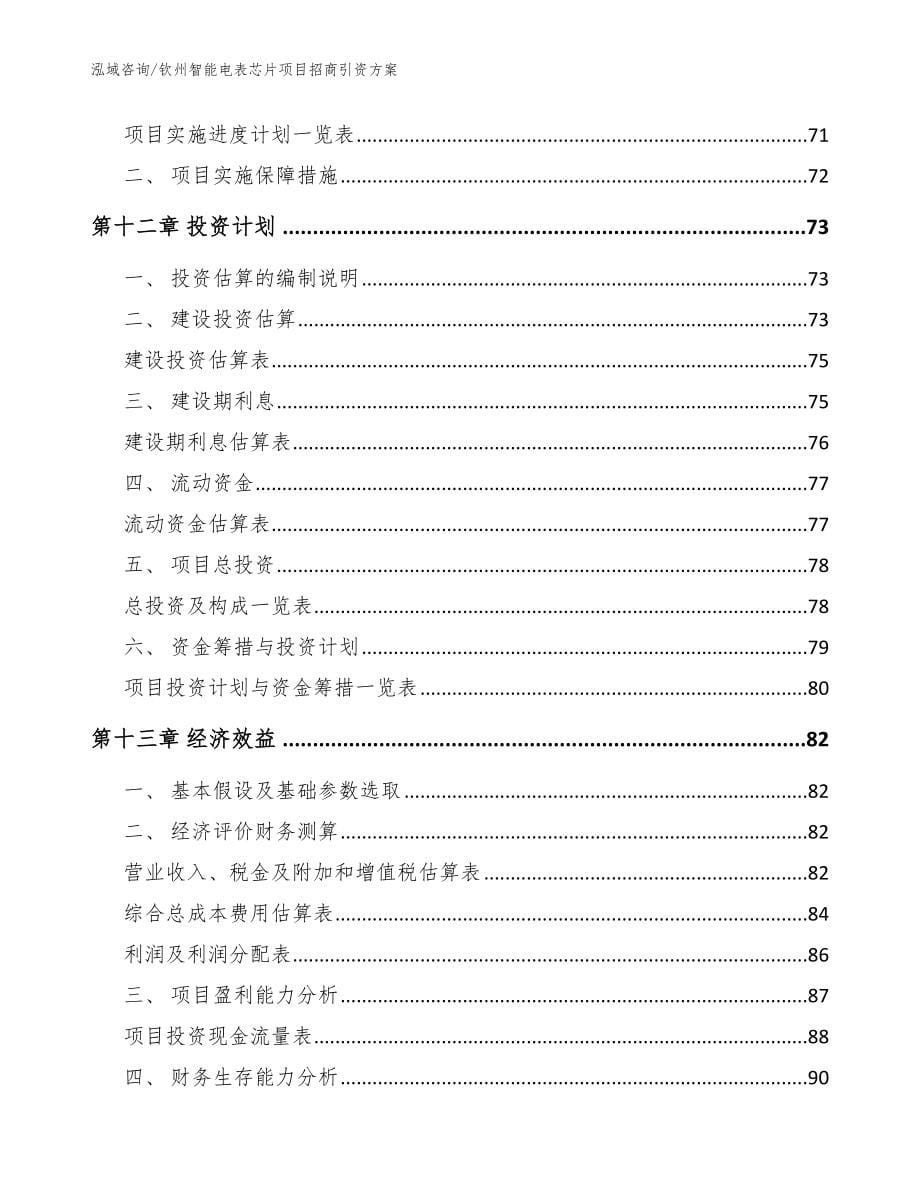 钦州智能电表芯片项目招商引资方案（模板范文）_第5页