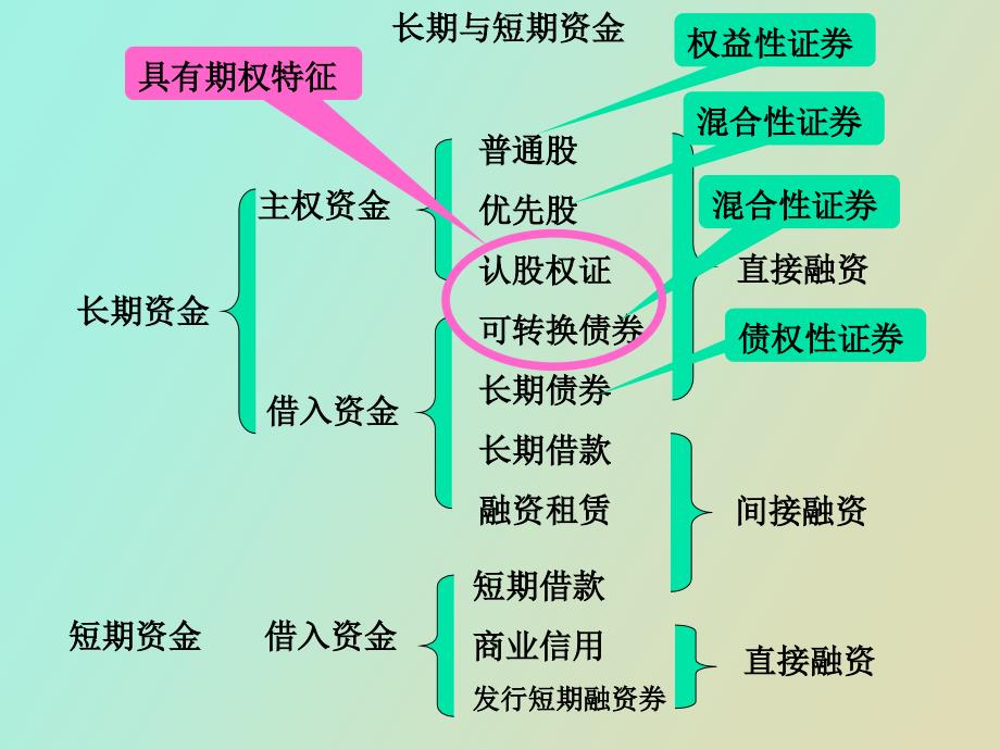 长期资金筹集方式简_第2页