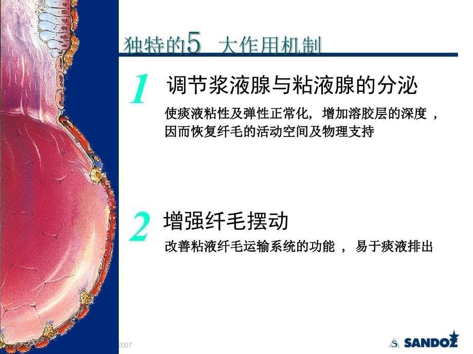 安普索介绍片_第5页